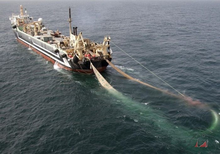 توقیف ۳ فروند شناور صیادی ترال و کشف بیش از ۴۰ تُن ماهی در خلیج فارس