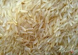 صادرات برنج هند به ایران به زودی از سر گرفته می‌شود