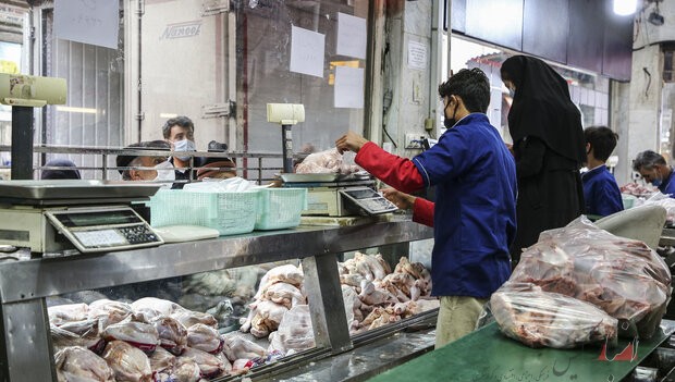 کاهش قیمت‌ها با توزیع مرغ گرم در بازار
