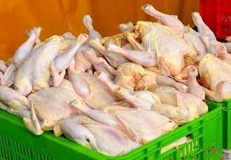 ذخیره‌سازی ۲۲۰ تن مرغ منجمد و ۶۰ تن گوشت قرمز در هرمزگان