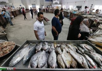 ضرب‌الأجل دستگاه قضایی برای گرانی ماهی در استان نتیجه داد وضعیت در کیش چگونه خواهد بود
