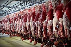 قیمت دام زنده منطقی می‌شود؟ / تعادل در بازار گوشت