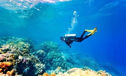 غواصی در آب‌های مرجانی کیش؛