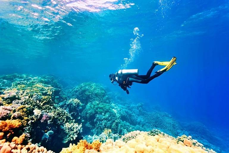 غواصی در آب‌های مرجانی کیش؛